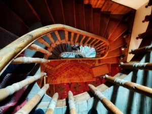 21. ULUSLARLARASI ALTIN SAFRAN FİLM FESTİVALİ